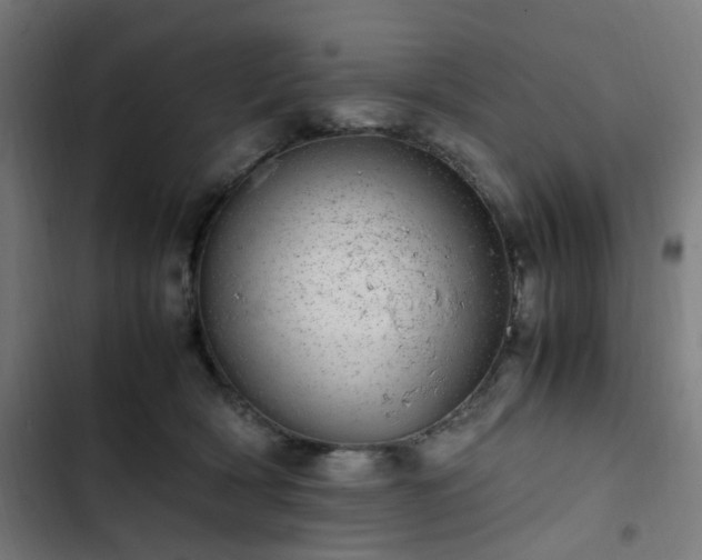 X0000103270418200809051512
