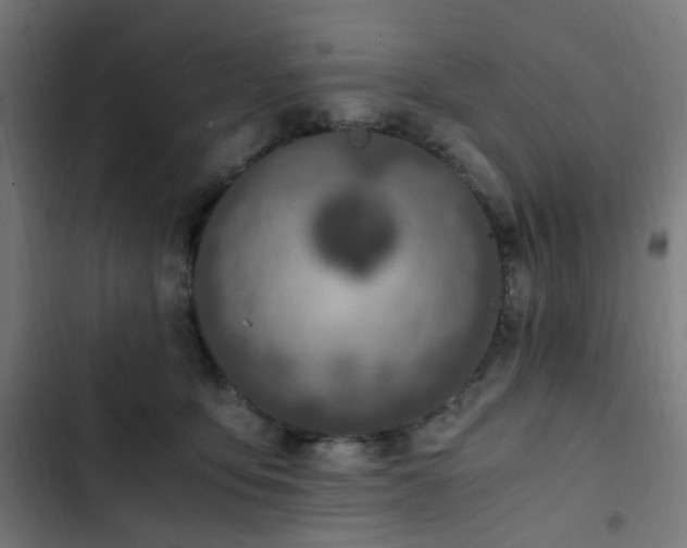 X0000103270419200809051512