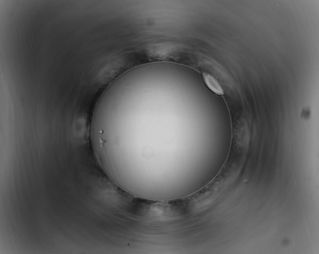 X0000103270420200809051512