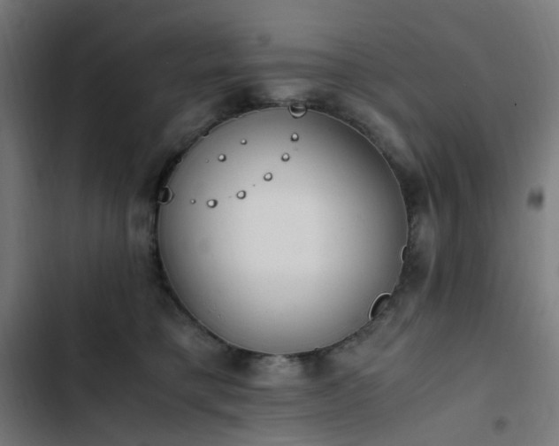 X0000103270421200809051512