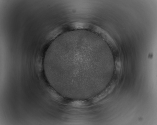 X0000103270422200809051512