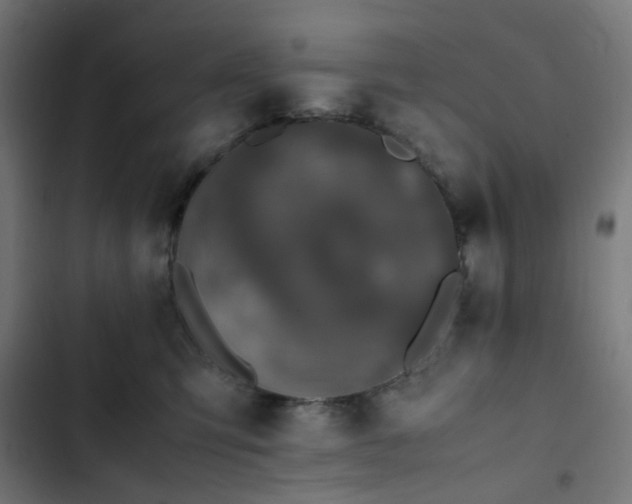 X0000103270423200809051512