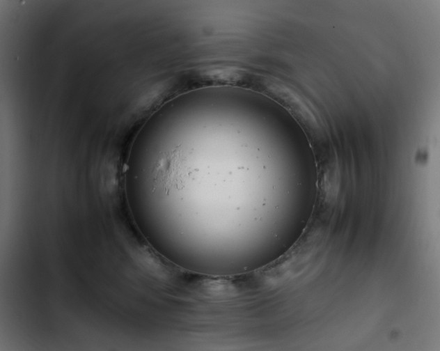 X0000103270424200809051512