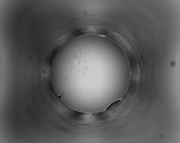 X0000103270425200809051512