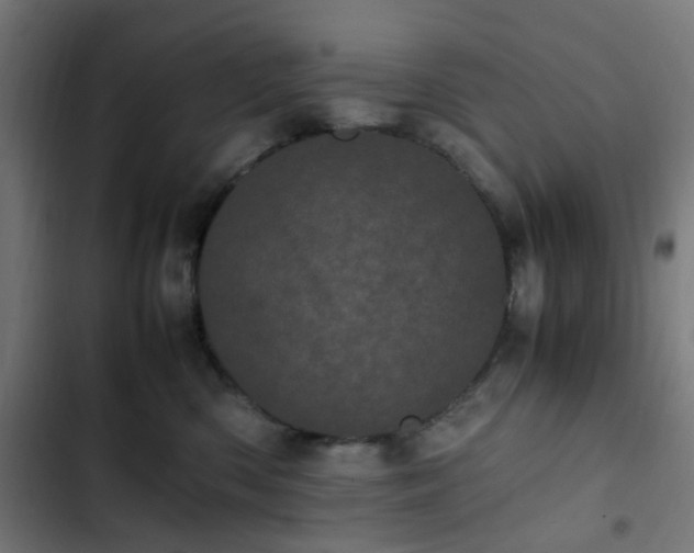 X0000103270426200809051512