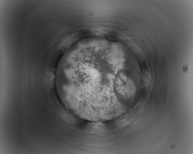 X0000103270427200809051512
