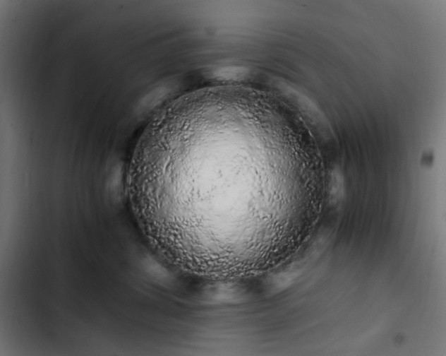 X0000103270428200809051512