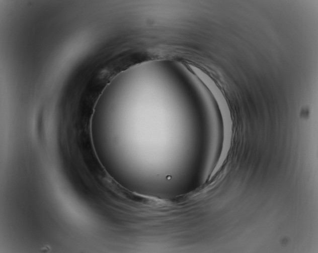 X0000103270429200809051512