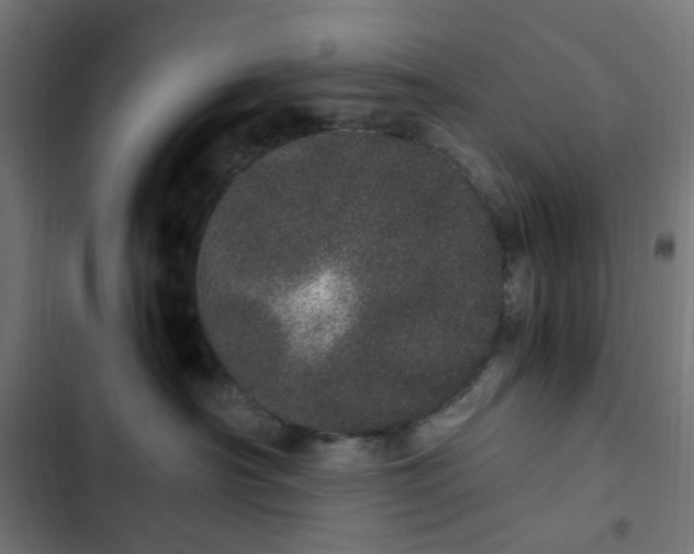 X0000103270430200809051512