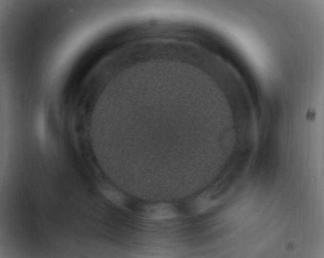 X0000103270431200809051512