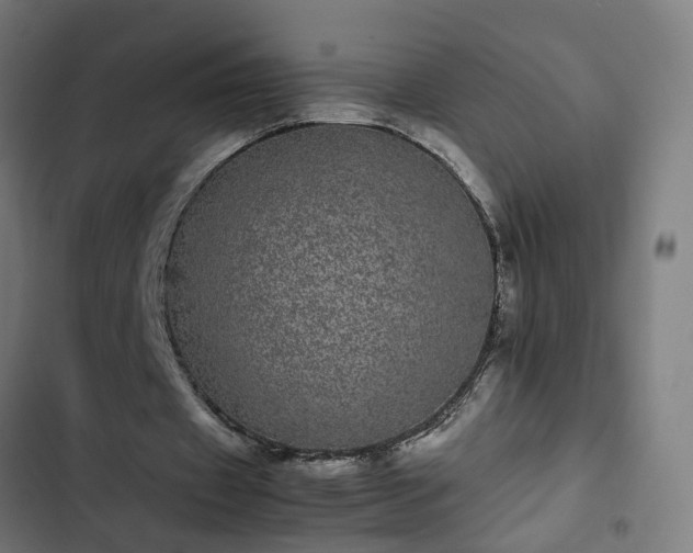 X0000103270433200809051511