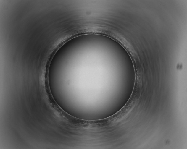 X0000103270434200809051511