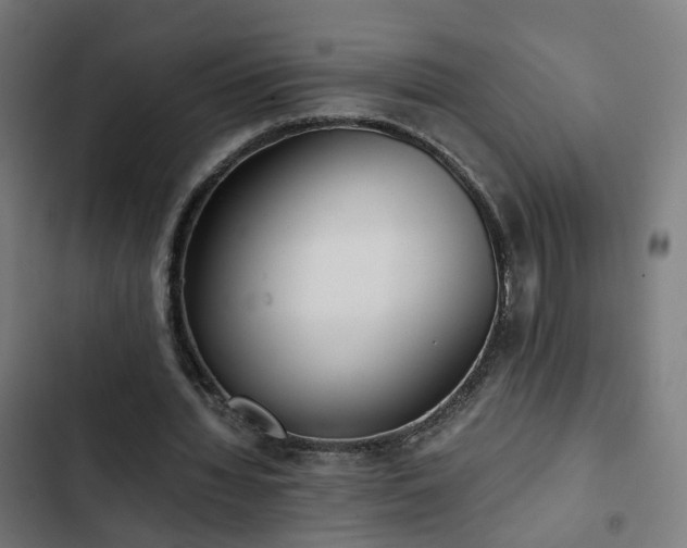 X0000103270436200809051511