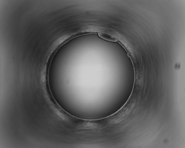 X0000103270437200809051511