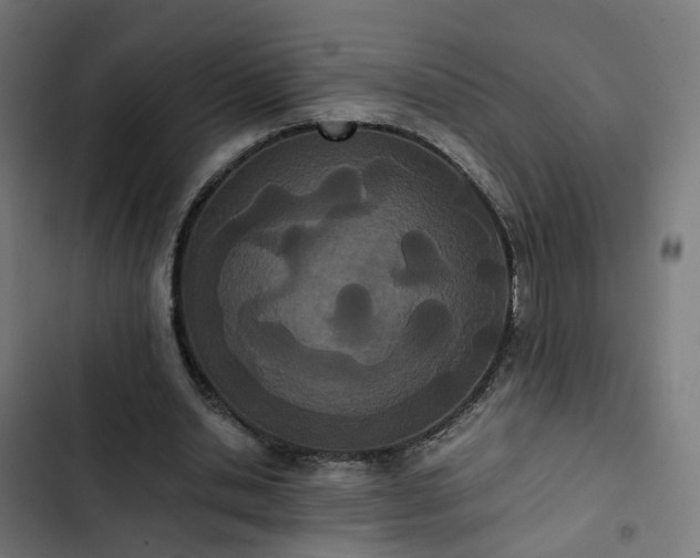 X0000103270438200809051511
