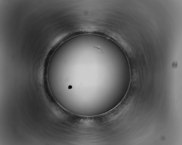 X0000103270440200809051511