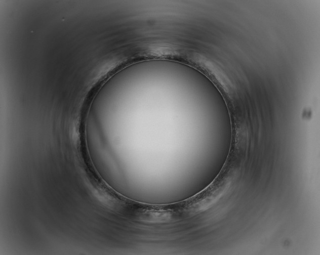 X0000103270443200809051511