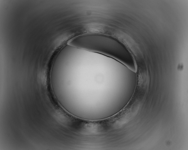 X0000103270444200809051511