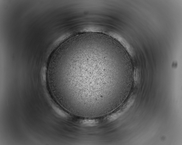 X0000103270445200809051511