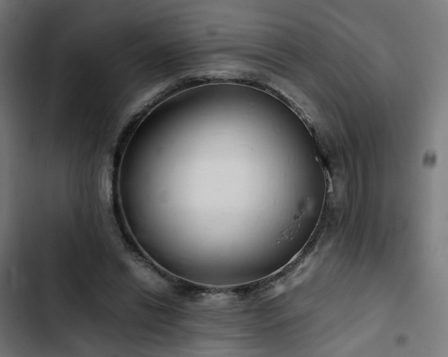 X0000103270446200809051511