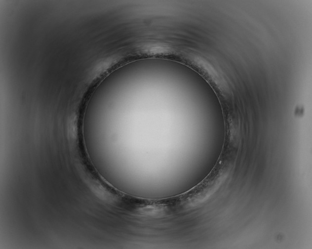 X0000103270447200809051511