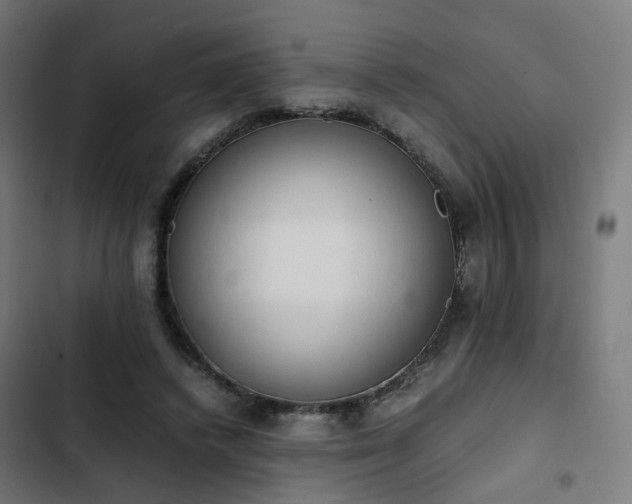 X0000103270448200809051511