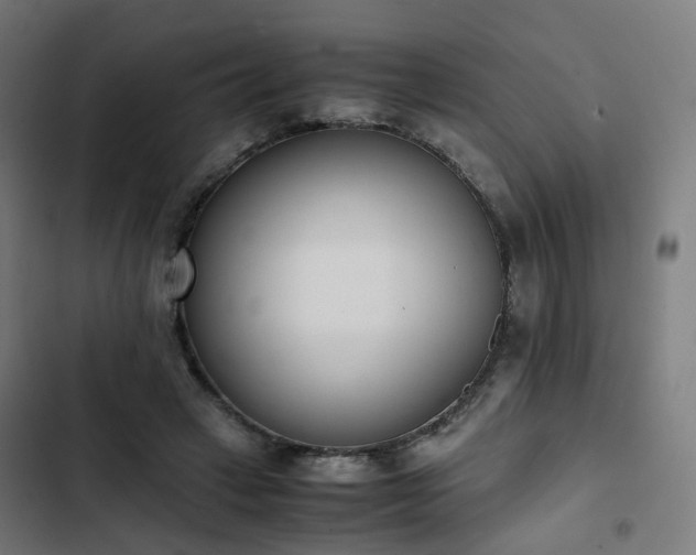 X0000103270449200809051511