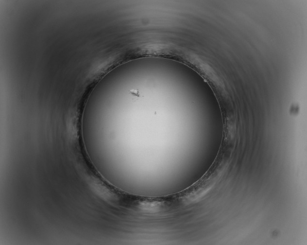 X0000103270450200809051511