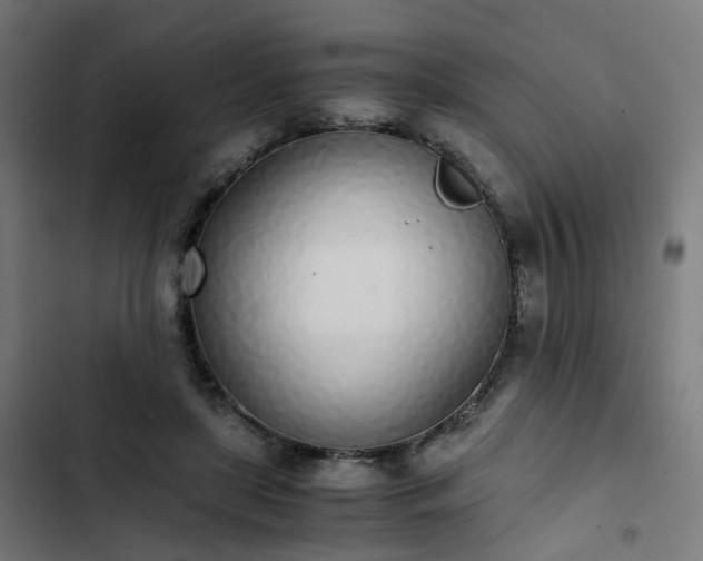 X0000103270451200809051511