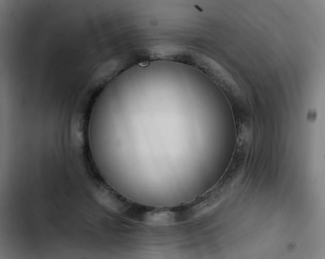 X0000103270452200809051511