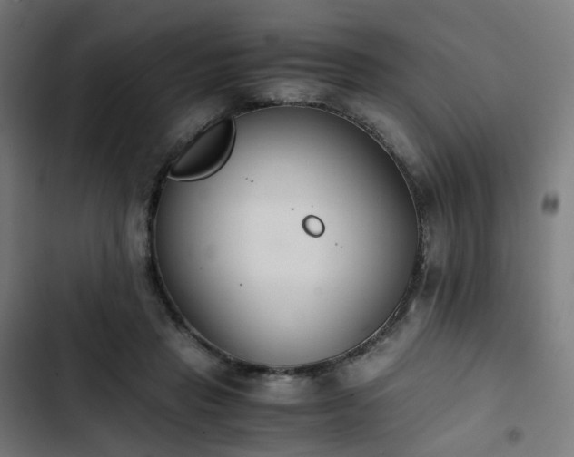 X0000103270453200809051511