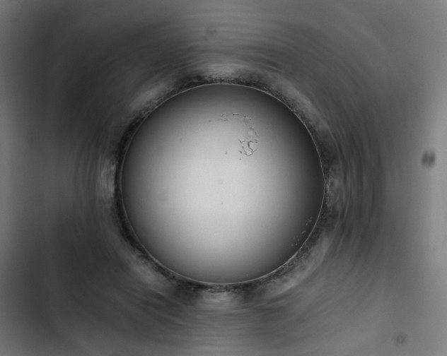 X0000103270454200809051511