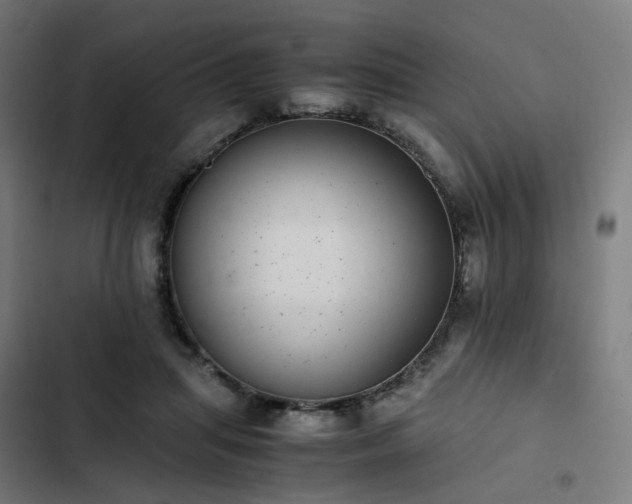 X0000103270455200809051511