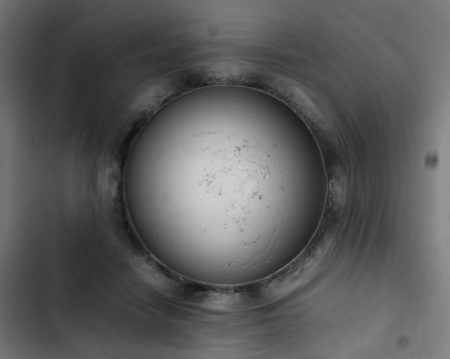 X0000103270458200809051511