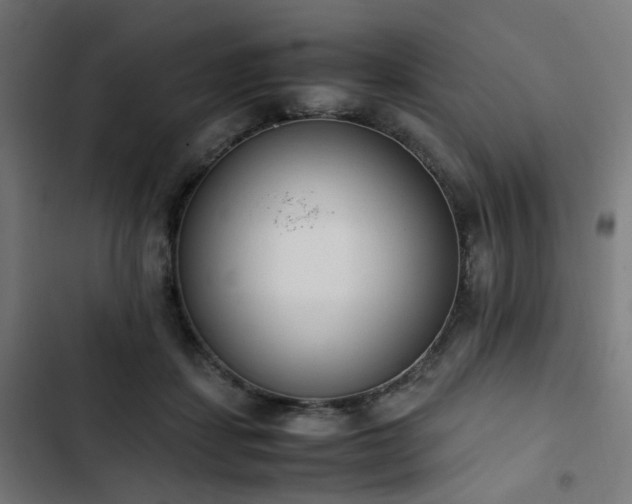 X0000103270459200809051511