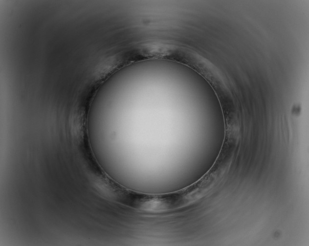 X0000103270460200809051511