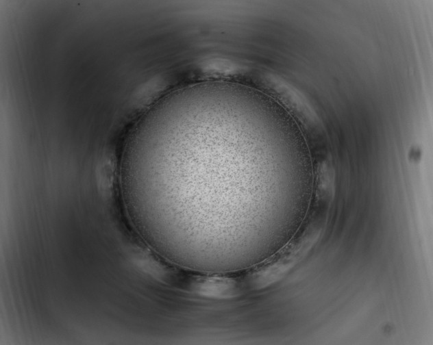 X0000103270463200809051511