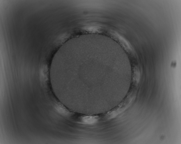 X0000103270465200809051511