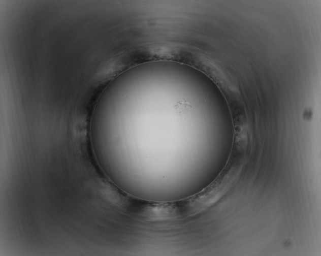 X0000103270466200809051511