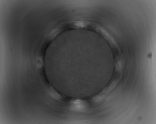 X0000103270467200809051511
