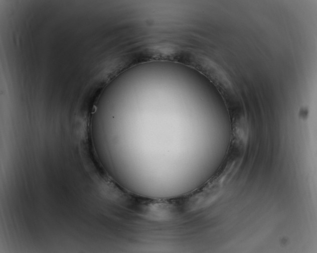 X0000103270468200809051511