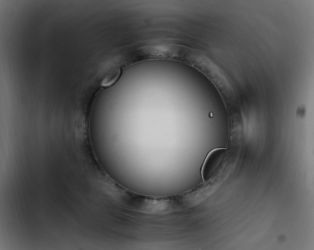 X0000103270469200809051511