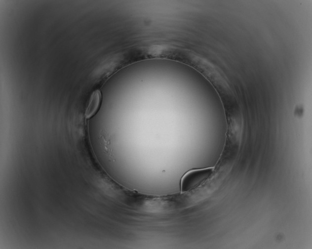 X0000103270470200809051511