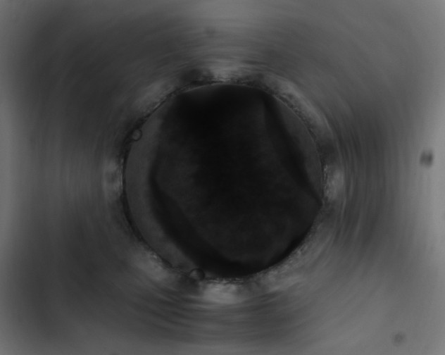X0000103270471200809051511