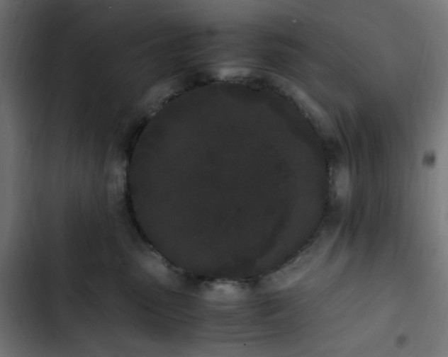 X0000103270475200809051512