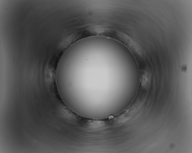X0000103270476200809051512
