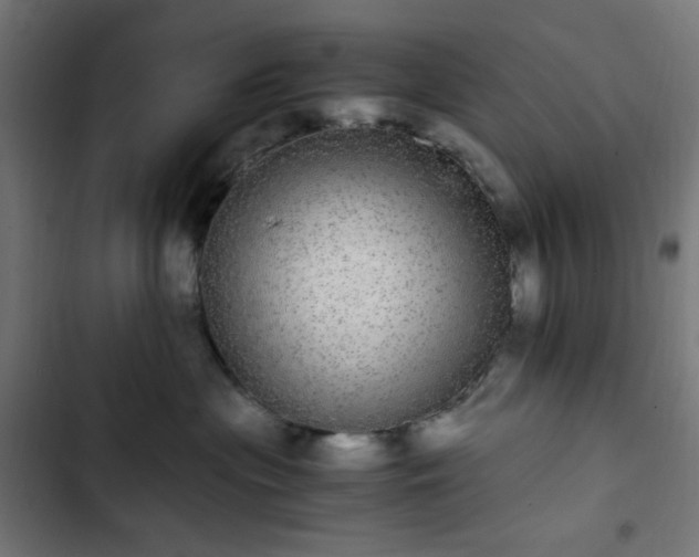 X0000103270477200809051512