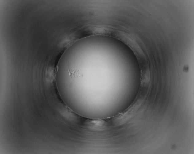 X0000103270478200809051512