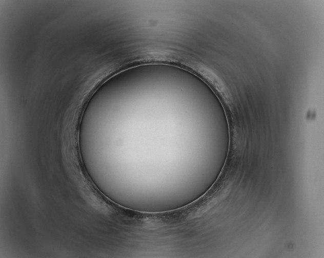X0000103270481200809051511