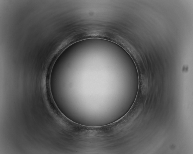 X0000103270482200809051511